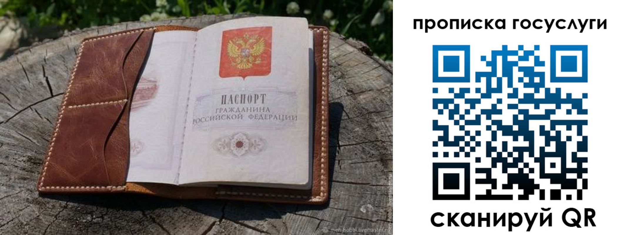 прописка для школы в Моршанске